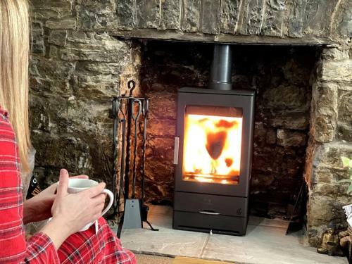 The Cwtch, With Log Fire, Sleeps 5, Pets Welcome, Nr Zip World Tower