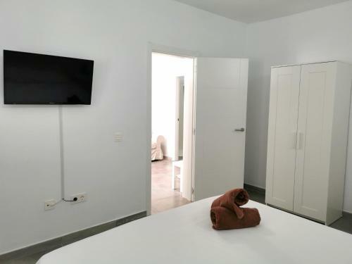 Apartamentos Anjomacar I