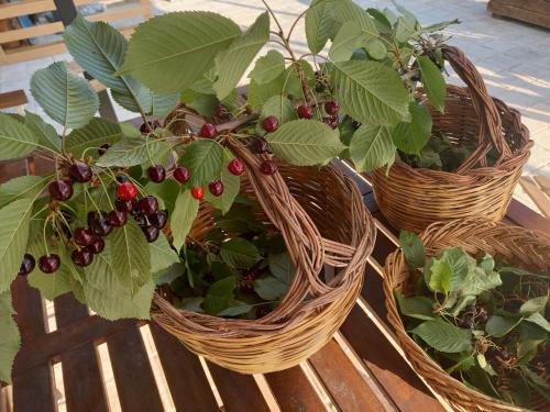 Bed & Breakfast La Casa Dalle Finestre Blu
