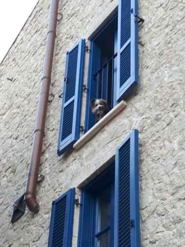 Bed & Breakfast La Casa Dalle Finestre Blu