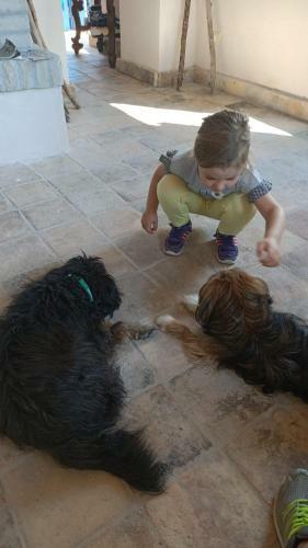 Bed & Breakfast La Casa Dalle Finestre Blu