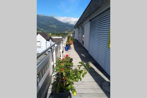 Apartamento Royal Suite "susi Eibl"