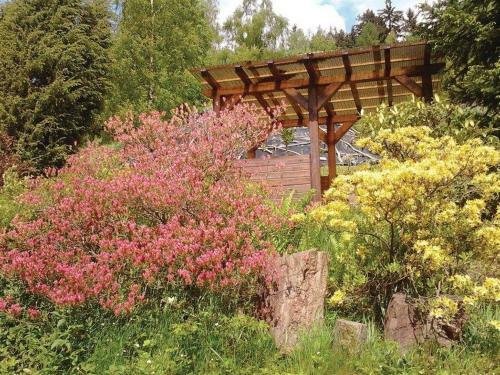 Holiday Home Chl�vce U Hronova-5