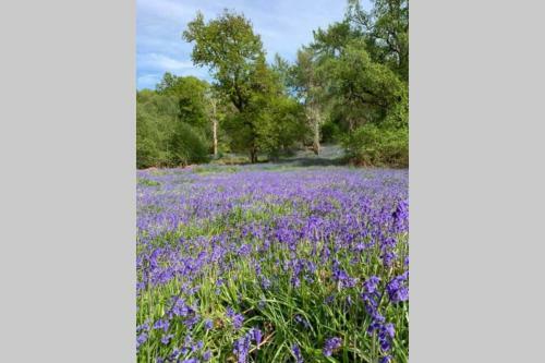 Creag Mhor Self Catering Holiday Apartment