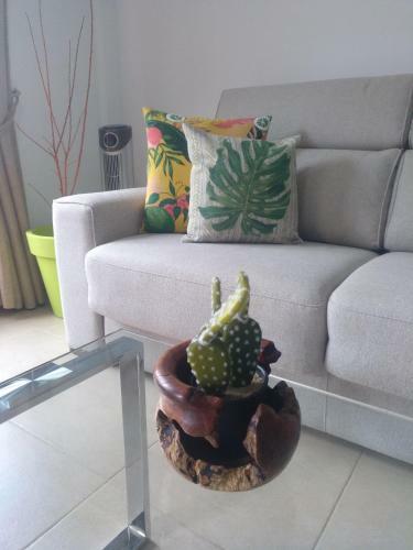 Apartamento El Palm-mar Arona Mi Jardin