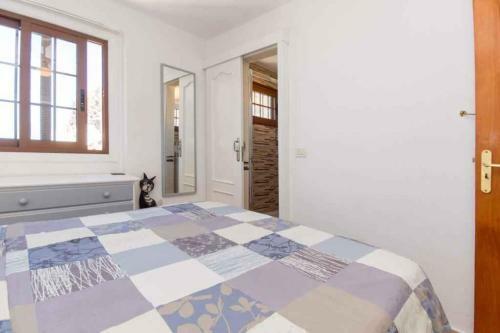 Apartment In Palm-mar - Insel Teneriffa 41647