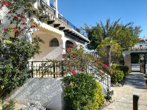 Apartamentos Cabo Roig Bellavista III