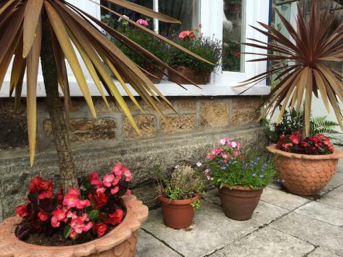 Hostal The Lynwood