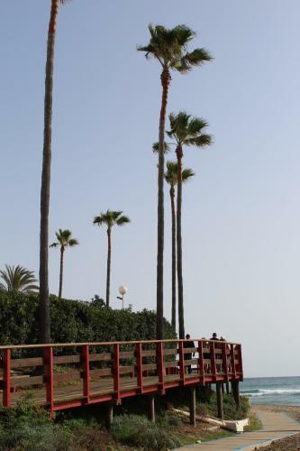Apartamento Beach Forest Paradise
