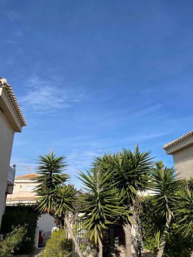 Villa 17 Vistamar Playa Flamenca