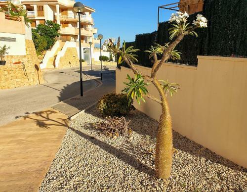 Apartamento Casa Cerezos