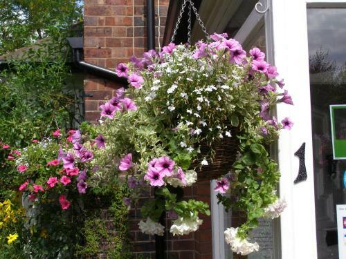 Anton Guest House Bed And Breakfast