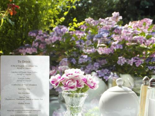 Anton Guest House Bed And Breakfast