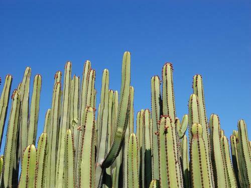 Villa Sol 21 By Villagrancanaria
