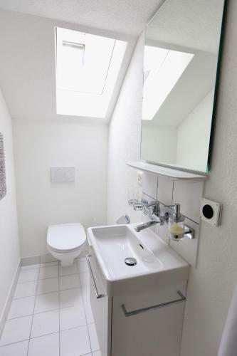 Alp Apartments