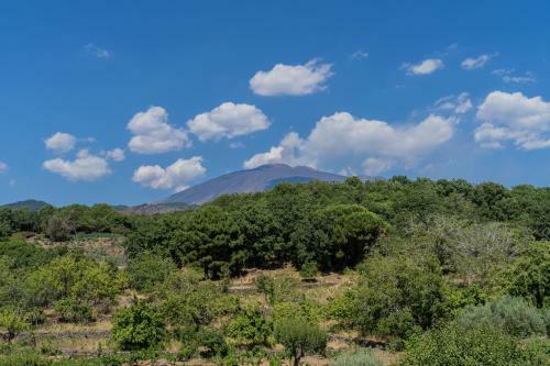 Le Vigne - Countryside House On Etna Volcano