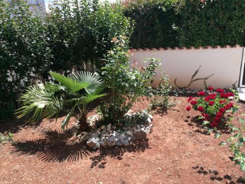 Apartamento Ferienhaus Bozena Appartment 1