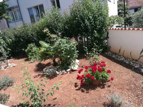 Apartamento Ferienhaus Bozena Appartment 2