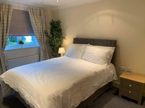 Addlestone - Large Stunning 2 Bed Room Apartment