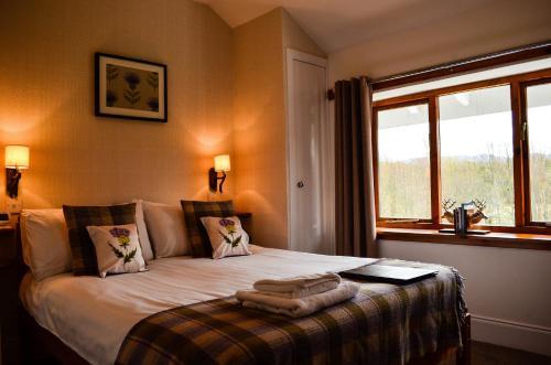 Hostal Ardlogie Guest House