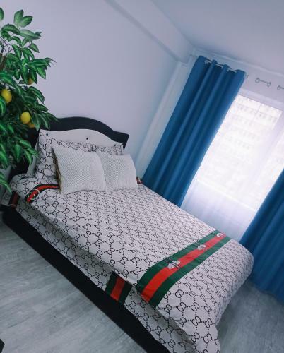 Apartamento Nadia Buiucani