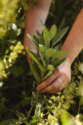 Agroturismo Damb�kgaard Sustainable Farm