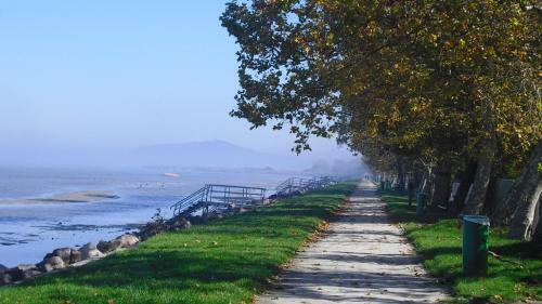 Lovely Apartment At Balatonfenyves