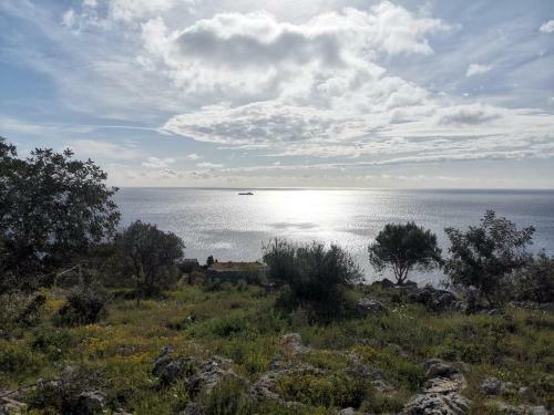 Dimora Ideale Per Coppia Vista Mare Immersa Nel Verde Salento3