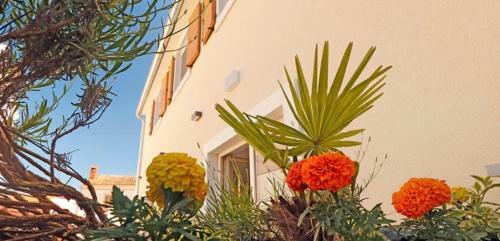 Studio Apartman Dado
