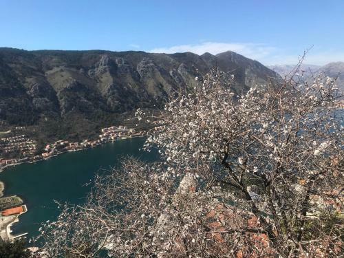 Apartamento Romantic Rooftop View Hideaway- Old Town Nr 404