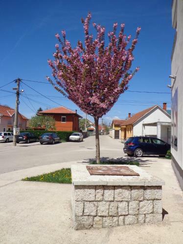 Apartman Bedem