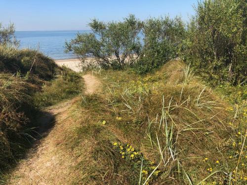 Seaside Wellbeing