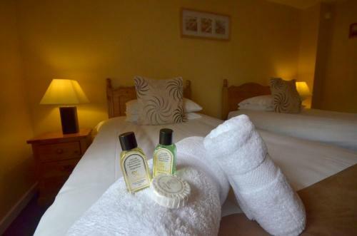 Hotel Auld Cross Keys Inn