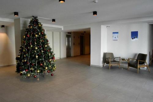 Hotel New Gudauri, Loft 2
