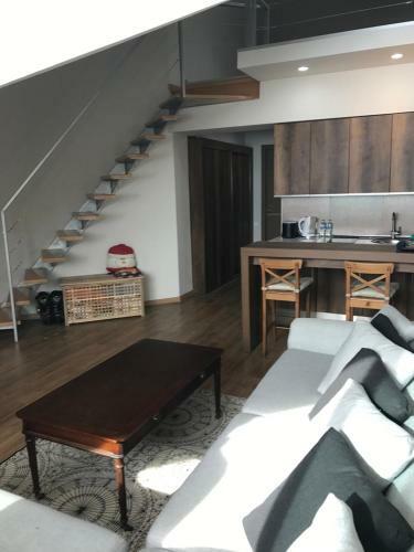 Apartamento Mezzanine In New Gudauri