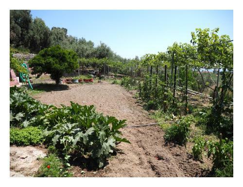 Agroturismo Katina's Farm House