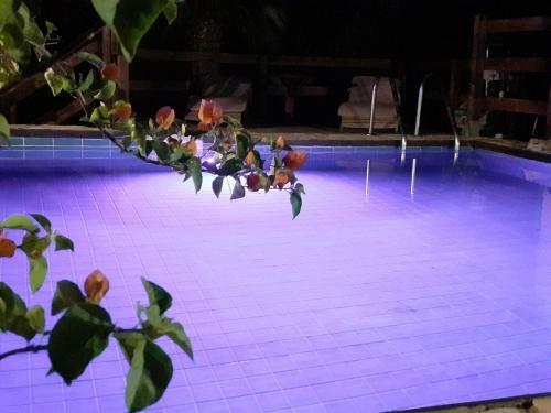 Coral Riviera Sardinia Villa & Cottage
