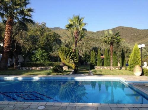 Villa Olive