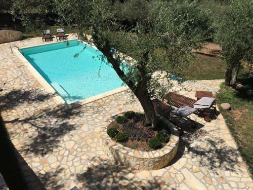 Apartamento Bon Rep�s