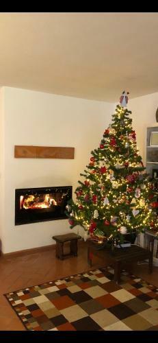 Apartamento Bon Rep�s