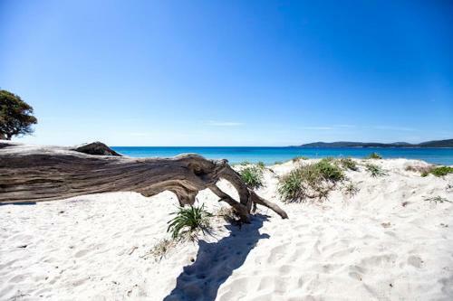 Apartamento Emerald, Stylish Home! In Centro, Tranquillo, 100 Metri Al Mare! Alghero