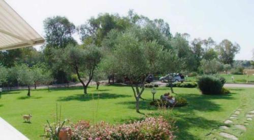 Villa Con Piscina A 2km Dal Mare Di Alghero Con AC E Wifi Per 8