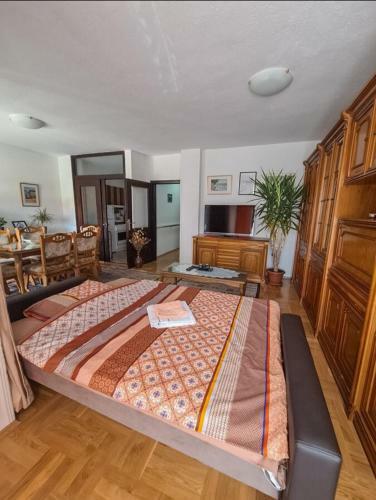 Rodic Apartman Stan Ohrid