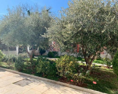 Sunday Apartment Petrovac