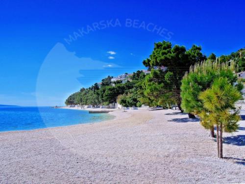 Apartamentos Mare