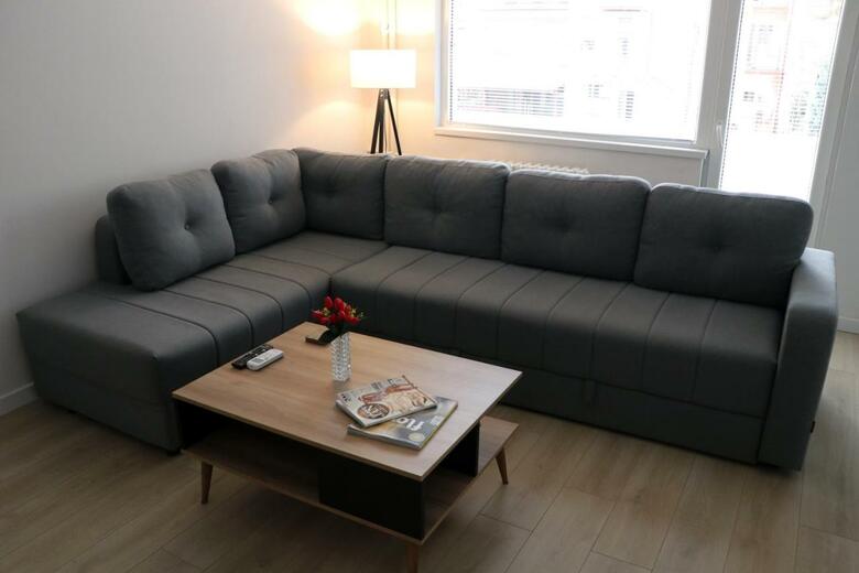 Spacious Modern Apartment Kisela Voda