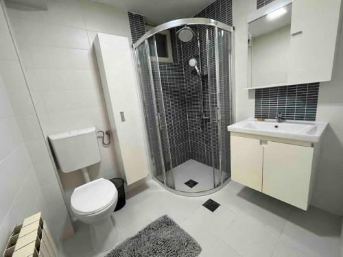 Piano Apartment With Garden In Aerodrom