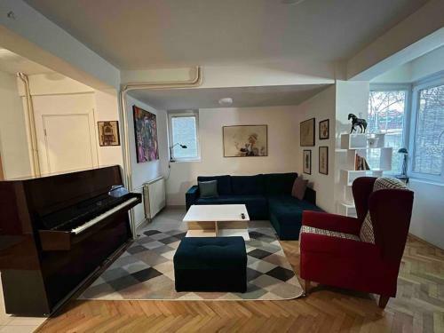 Piano Apartment With Garden In Aerodrom