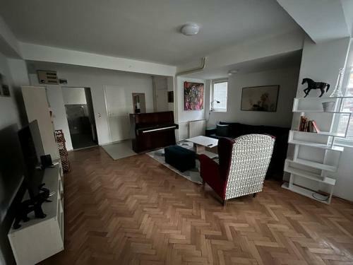 Piano Apartment With Garden In Aerodrom