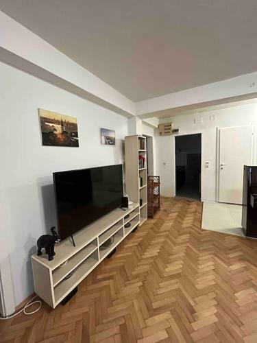 Piano Apartment With Garden In Aerodrom